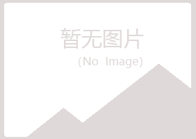 陵川县向雪化学有限公司